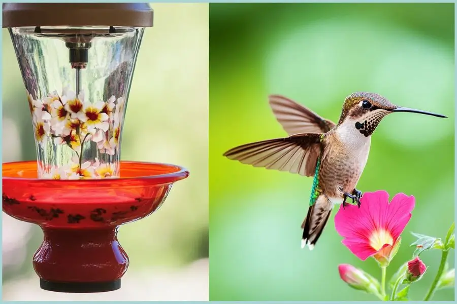 Hummingbird feeder filled with nectar.