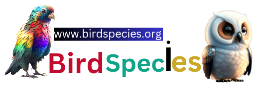 bird species logo