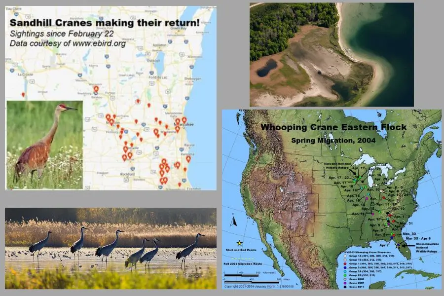 Map of top crane viewing locations in Michigan