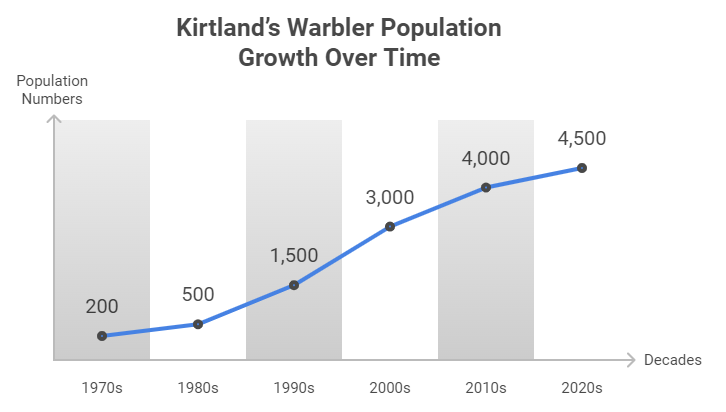 Infographic showing the population growth of Kirtland’s Warbler from less than 200 individuals in the 1970s to over 4,000 today